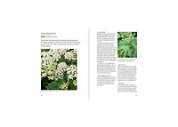 Midwest Foraging: 115 Wild and Flavorful Edibles from Burdock to Wild Peach by Lisa M. Rose
