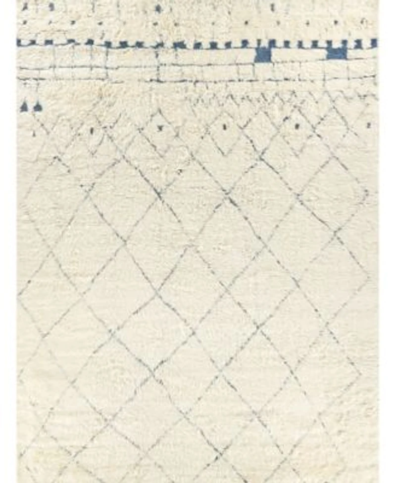 Exquisite Rugs Moroccan Er2563 Area Rug