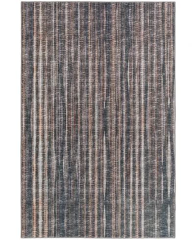 Dalyn Amador Washable AA1 3' x 5' Area Rug