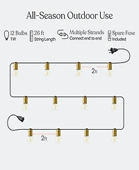 Glow Globe 28 ft Weatherproof Led Outdoor Plug-In String Lights with Brass Hardware