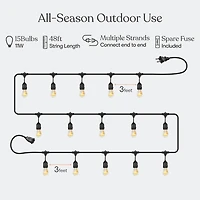 Ambience Pro 48 ft. Incandescent Indoor/Outdoor Weatherproof 11-Watt String Lights
