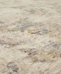 Karastan Echo Tesoro Area Rug