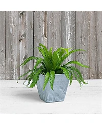 Novelty 35080 Ella Square Planter Gray 8 inch