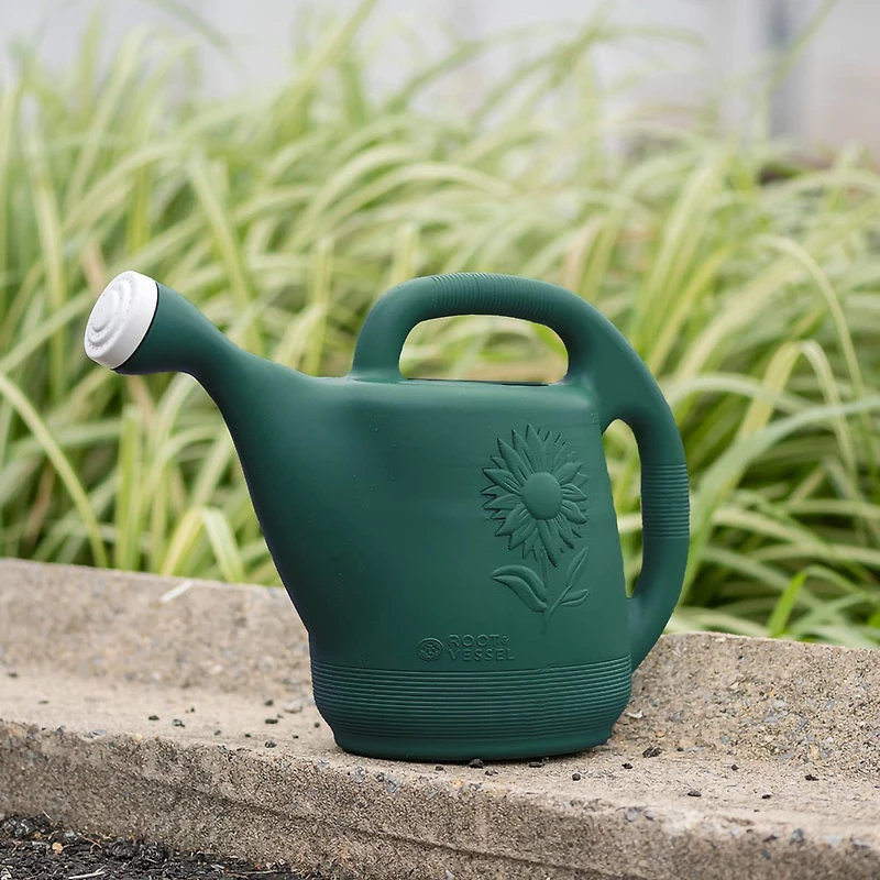 Novelty Classic Plastic Watering Can, Green, 2 Gallons