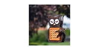 Heath Outdoor Products Heath Owl Design Metal Mesh Dual Seed and Suet Bird Feeder