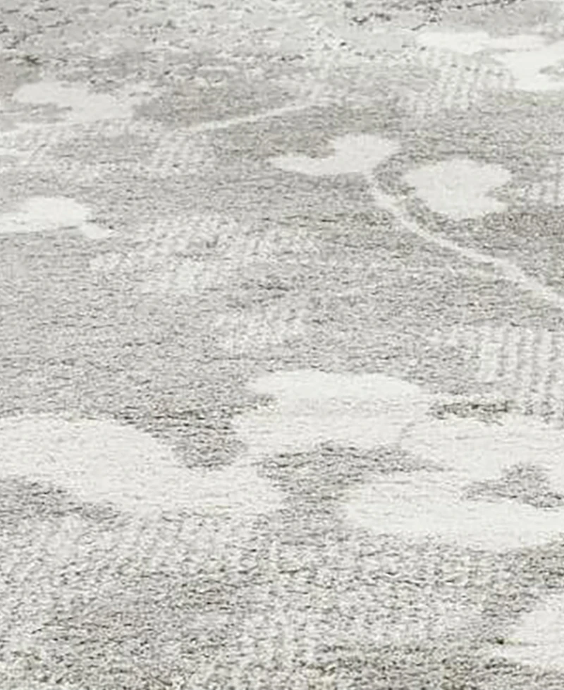 Safavieh Adirondack 114 Silver and Ivory 9' x 12' Area Rug