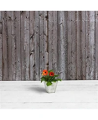 Novelty 35080 Ella Square Planter Mint 8 inch