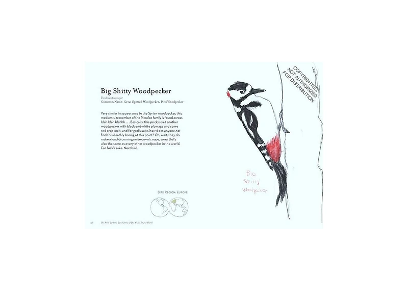 The Field Guide to Dumb Birds of the Whole Stupid World by Matt Kracht