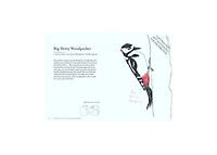 The Field Guide to Dumb Birds of the Whole Stupid World by Matt Kracht