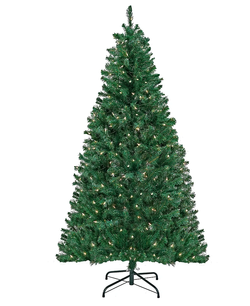 National Tree Company Acacia Pre-lit Christmas with 300 Clear Incandescent or Multicolor Lights, 6'