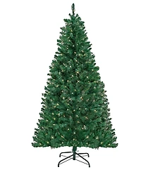 National Tree Company Acacia Pre-lit Christmas with 300 Clear Incandescent or Multicolor Lights, 6'
