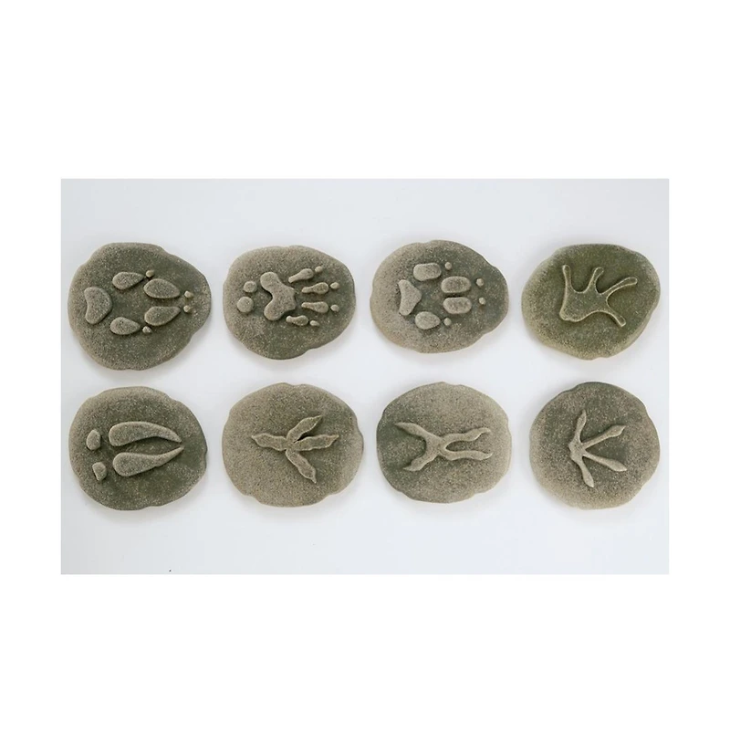 Yellow Door Let's Investigate Woodland Footprint Stones, Set of 8