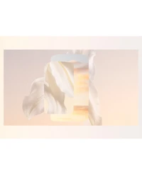 Cartier Baiser Vole Eau de Parfum, 1.6 oz