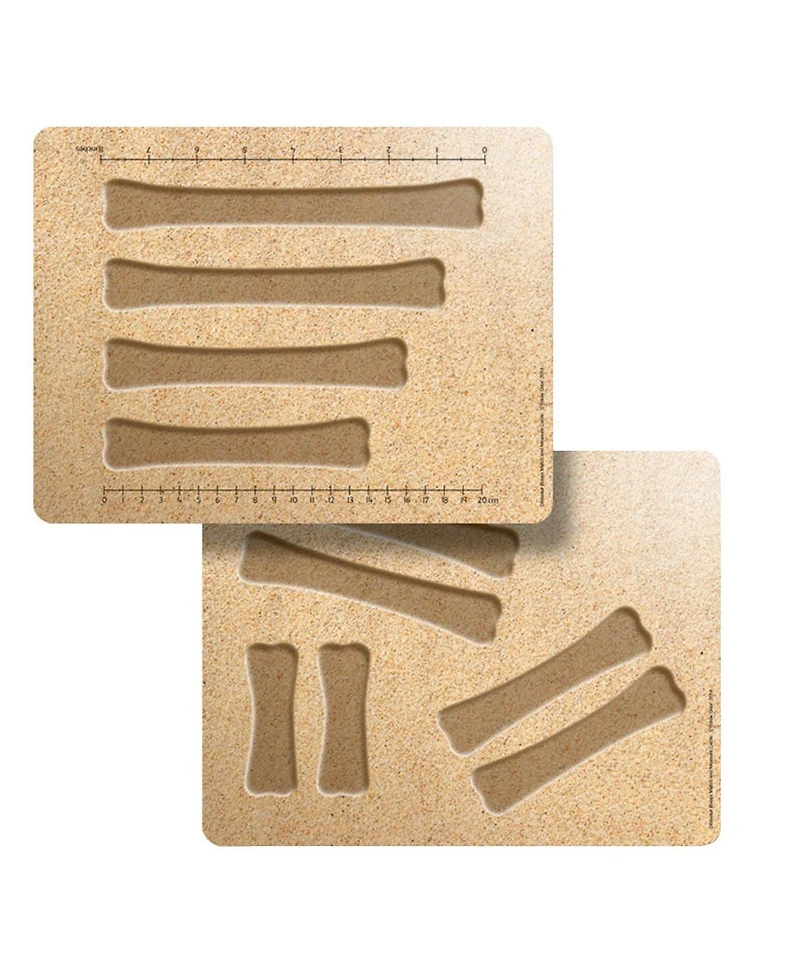 Yellow Door Dinosaur Bones Match & Measuring Cards