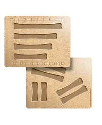 Yellow Door Dinosaur Bones Match & Measuring Cards