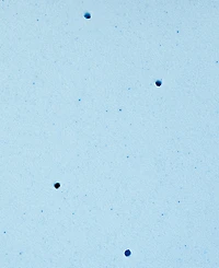 Closeout! ProSleep Gel-Infused 3" Memory Foam Mattress Topper