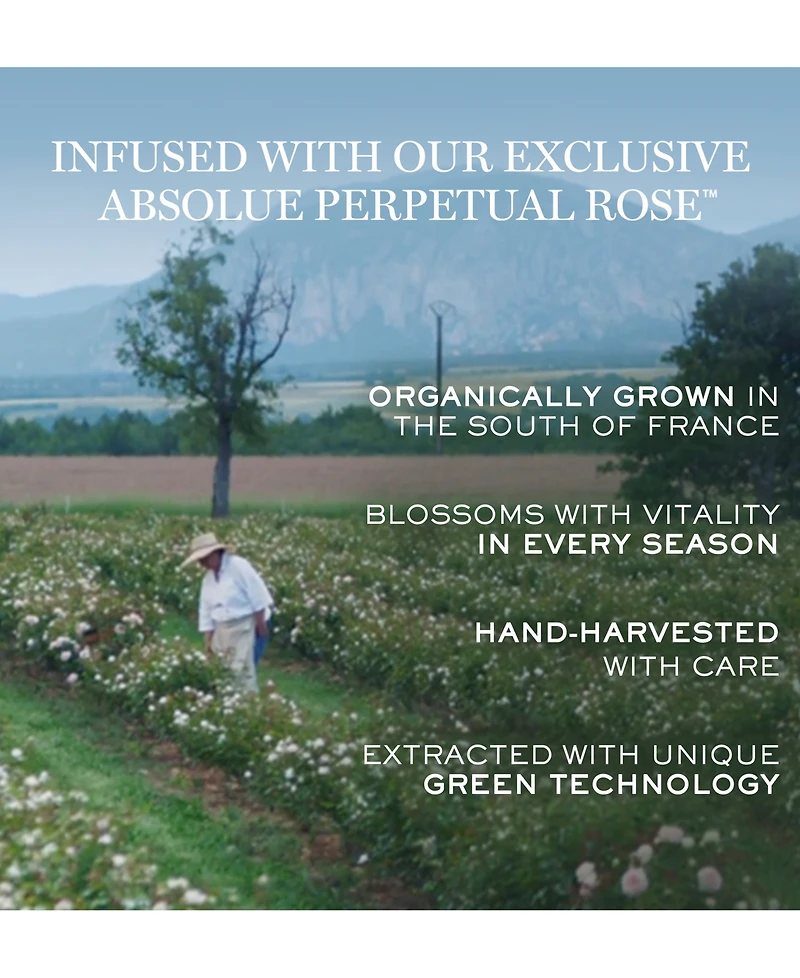 Lancome Absolue Revitalizing & Brightening Soft Cream With Grand Rose Extracts, 2 oz.