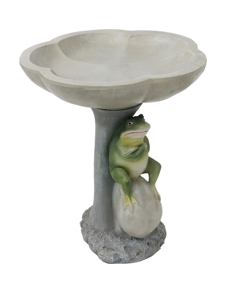 Brooding Frog on a Stone 22-Inch H Polyresin Bird Bath