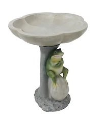 Brooding Frog on a Stone 22-Inch H Polyresin Bird Bath