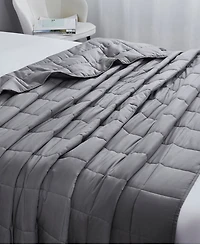Dream Theory Cotton Weighted 15 lbs Blanket, Twin