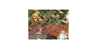 Front Mission - Nintendo Ds