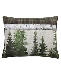 Donna Sharp Bear Panels 2 Piece Quilt Set, Twin