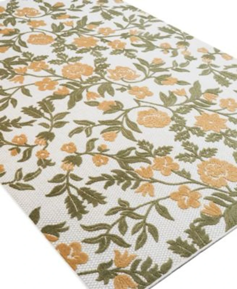 Bashian Gallery Outdoor Gly110 Area Rug