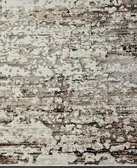 Lr Home Bienne BIENA286 7'9" x 9'9" Area Rug