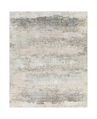 Livabliss Brunswick Bwk-2305 5' x 7'5" Area Rug