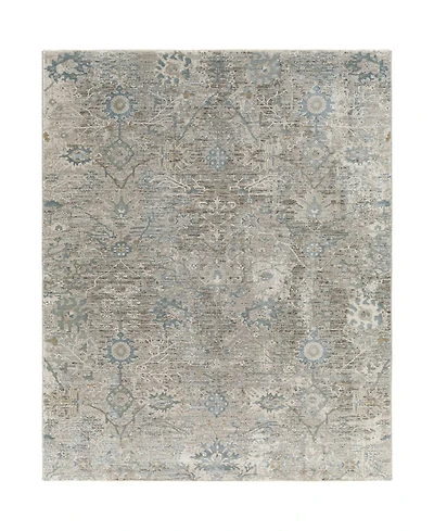 Livabliss Brunswick Bwk-2315 5' x 7'5" Area Rug