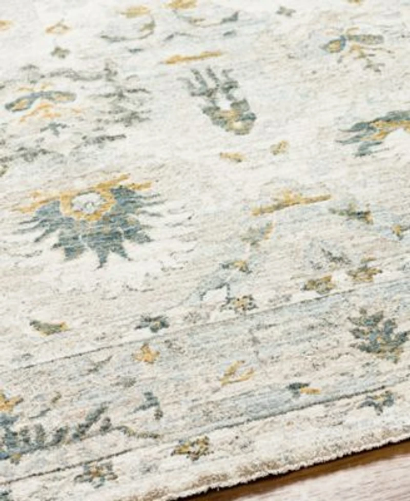 Livabliss Dresden Dre 2308 Area Rug