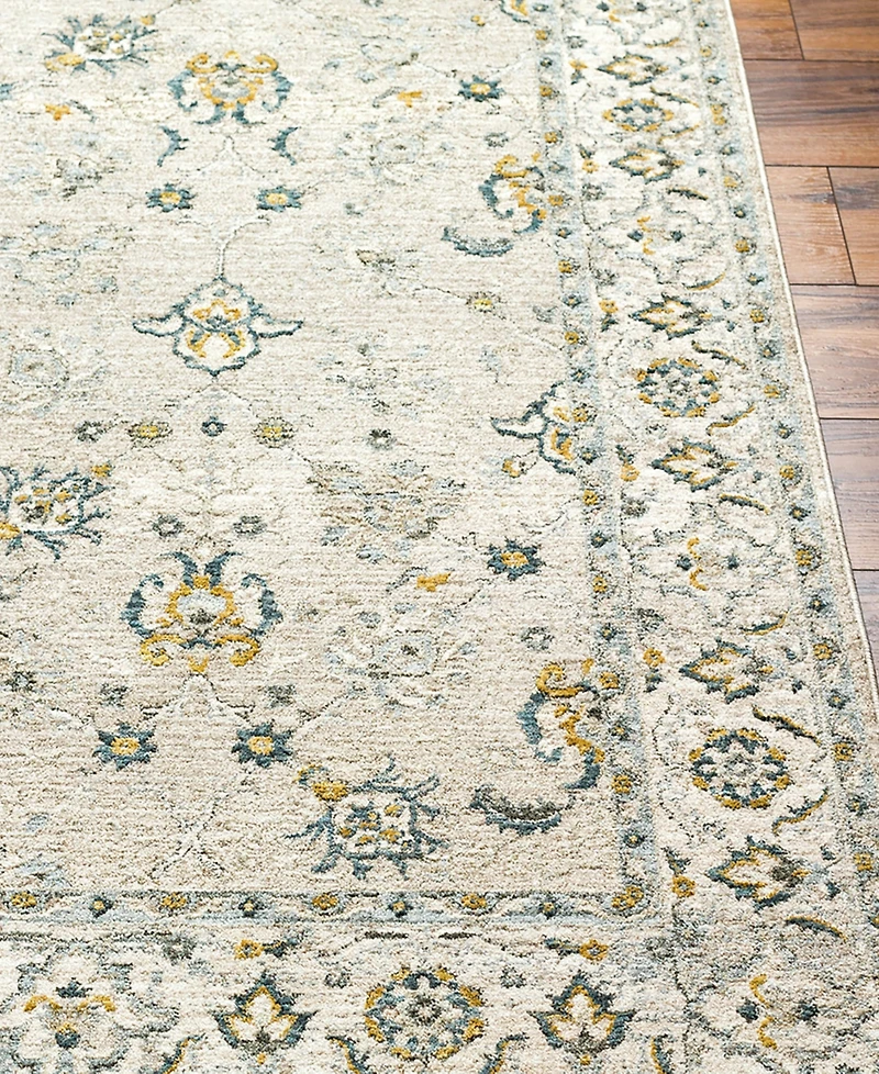 Livabliss Dresden Dre-2311 2'7" x 4' Area Rug