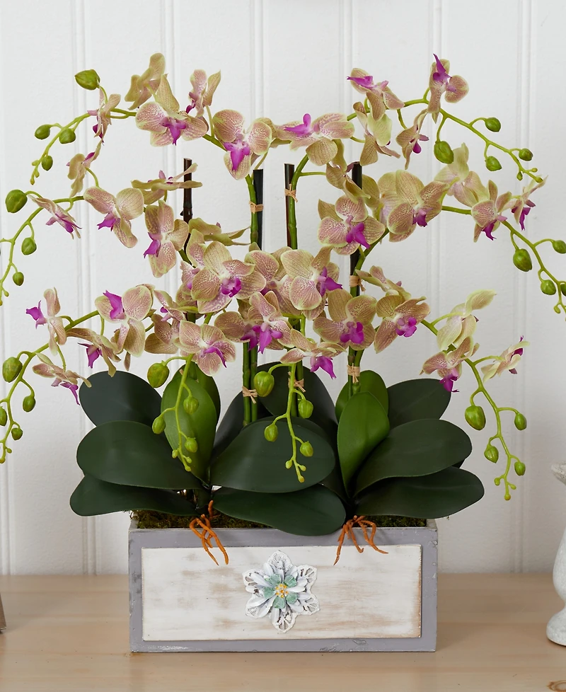 Nearly Natural Phalaenopsis Orchid Arrangement in Decorative Wood Planter