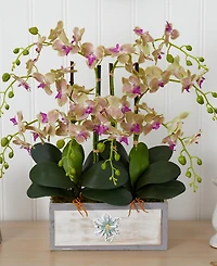 Nearly Natural Phalaenopsis Orchid Arrangement in Decorative Wood Planter