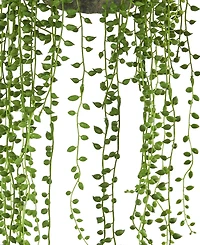 Nearly Natural String of Pearl Artificial Plant Hanging Basket