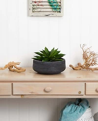 Nearly Natural Large Succulent Artificial Plant in Decorative Bowl