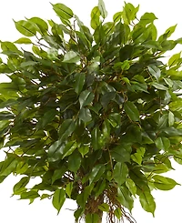 Nearly Natural 4' Ficus Topiary Uv-Resistant Indoor/Outdoor Artificial Tree