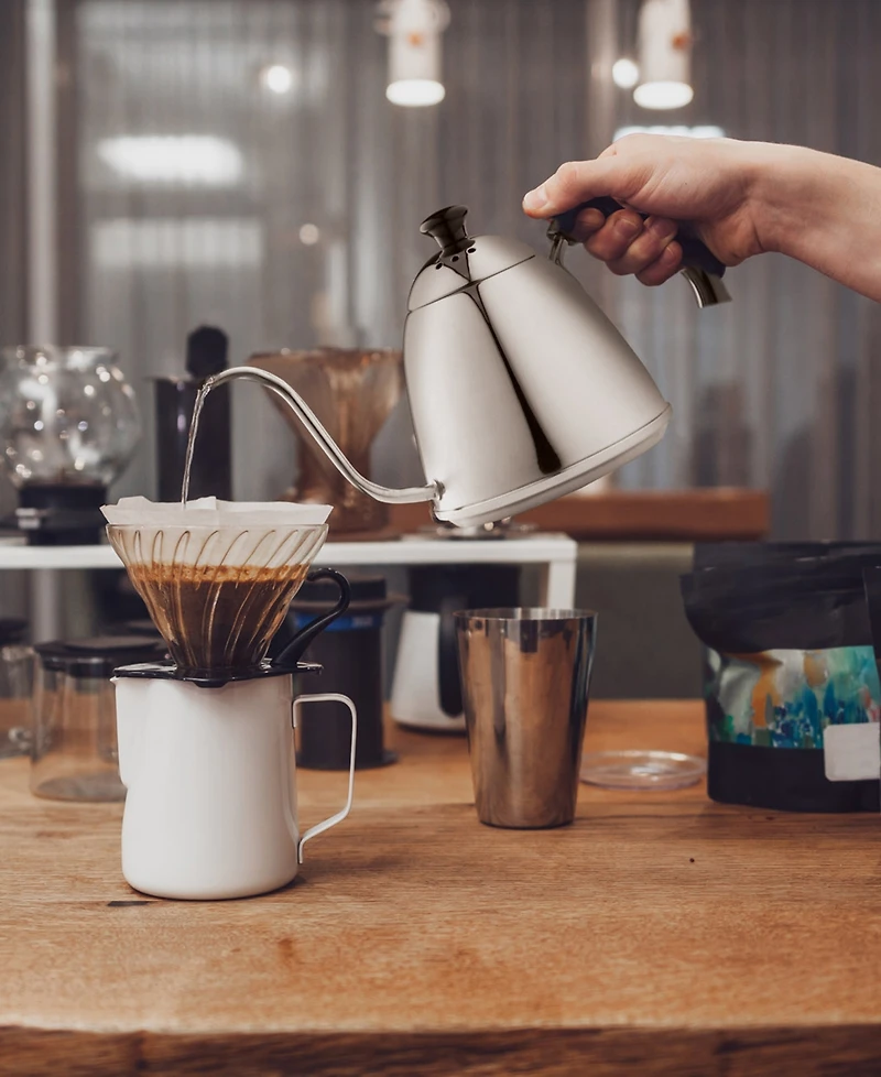Fino 6-Cup Pour Over Gooseneck Coffee Kettle, Stainless Steel, 1 Liter Capacity