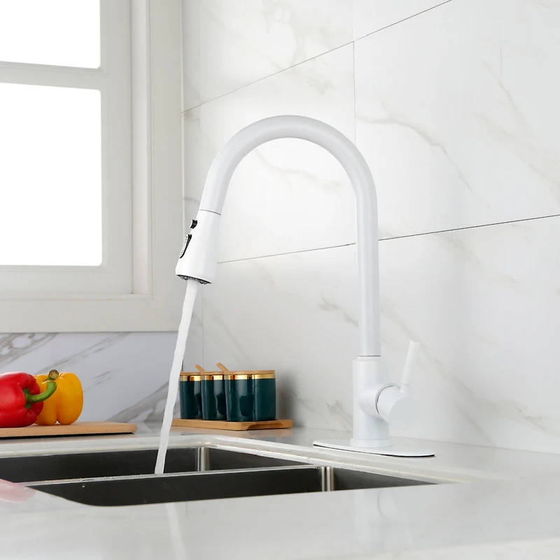 Kitchen Faucet With Pull Out Sprayer