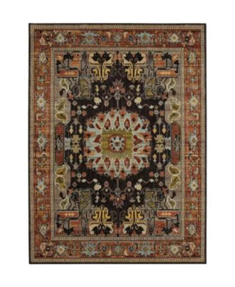 Closeout Karastan Pandora Covetous Area Rug