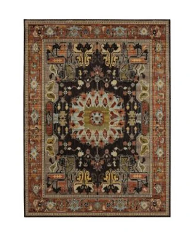 Closeout Karastan Pandora Covetous Area Rug