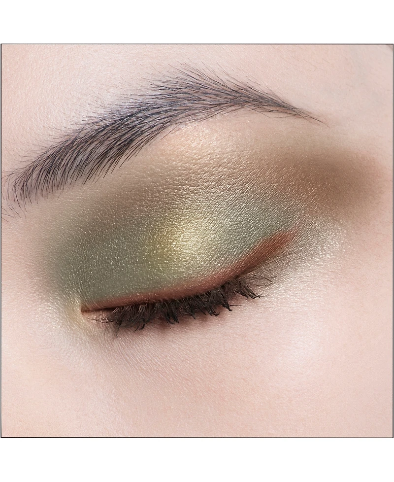 Dior Diorshow 5 Couleurs Couture Eyeshadow Palette