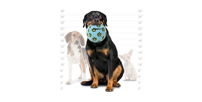 Mighty Ball Large Blue, 2-Pack, Durable Squeaky Dog Toys