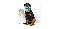 Mighty Ball Large Blue, 2-Pack, Durable Squeaky Dog Toys