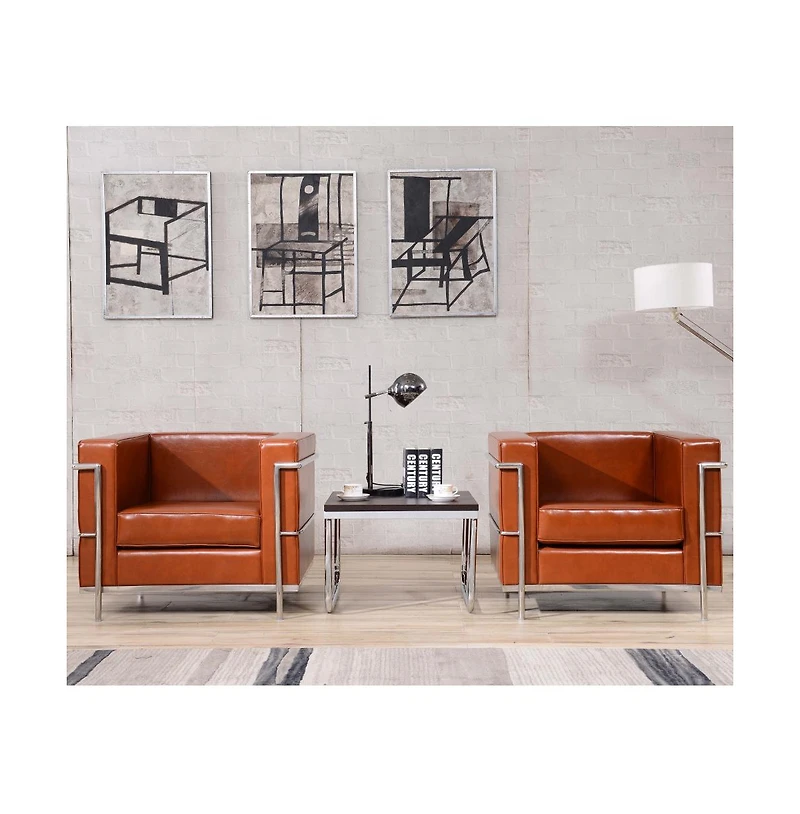 Contemporary Leathersoft Chair With Double Bar Encasing Frame