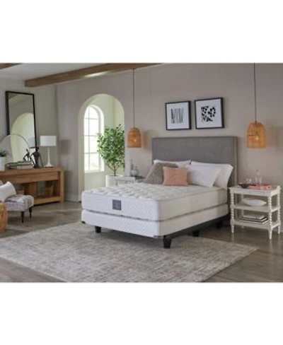 Closeout Hotel Collection By Shifman Caroline 13 Ultra Firm Mattress Collection Created For Macys