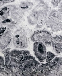 Dalyn Kikiamo Washable KK14 2'3" x 7'6" Runner Area Rug