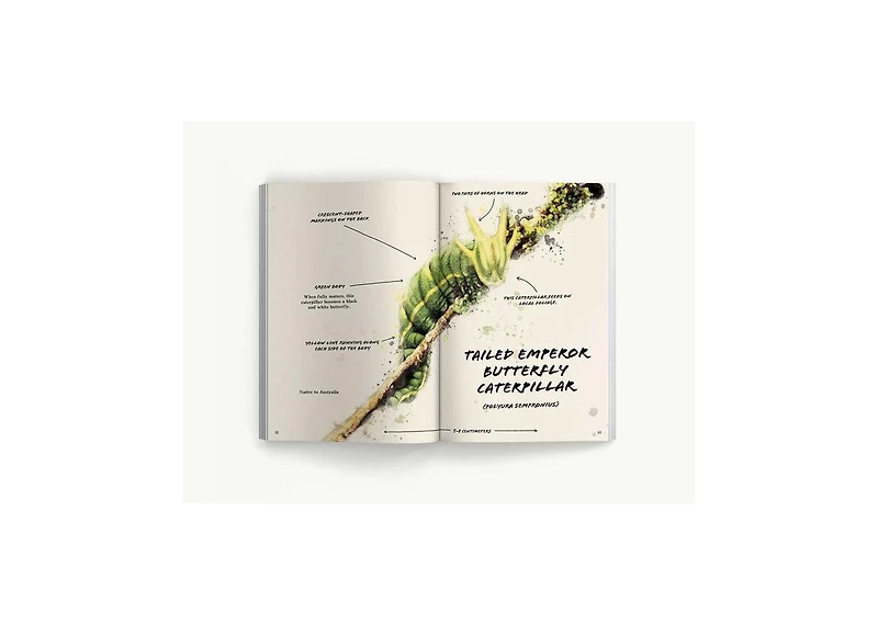 The Ultimate Bug Field Guide- The Entomologist's Handbook Bugs, Observations, Science, Nature, Field Guide by Julius Csotonyi Illustrator