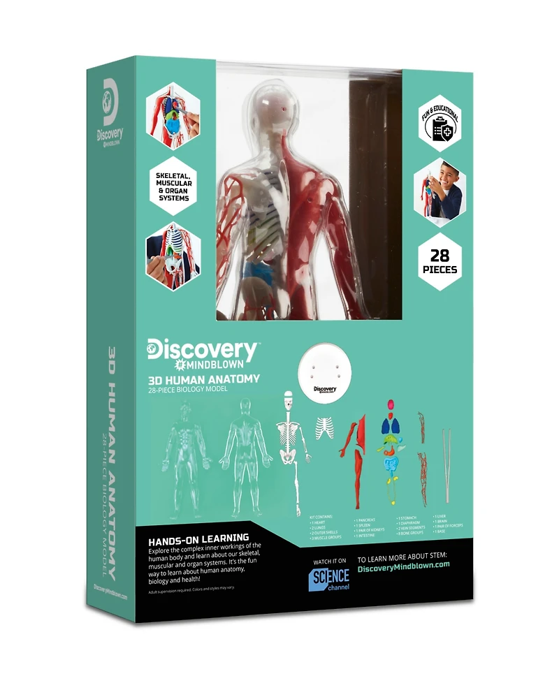 Closeout! Discovery #Mindblown 3D Human Anatomy 28-Piece Biology Model