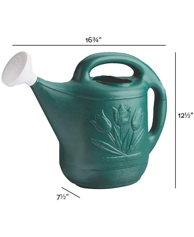 Novelty Classic Plastic Watering Can, Green, 2 Gallon Capacity
